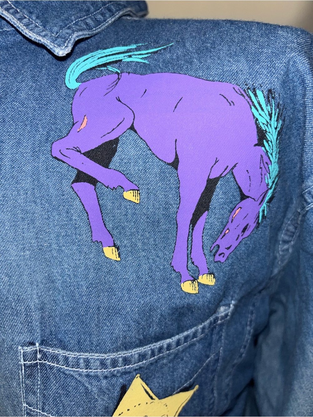 Denim Button-Down Shirt with Colorful Western Motif - Picture 5 of 9